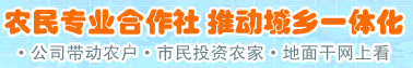 合作社频道